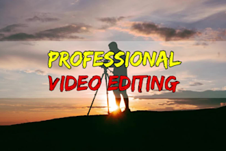 do professional vlog video editing in 24hours