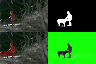 roto, green screen, keying, remove video background, masking