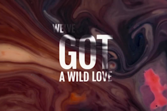 make professional animated lyric and music video for your song