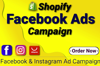 create viral shopify facebook ads campaign for dropshipping