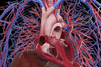 3d medical animation explainer for healthcare, biotech, anatomy, drug mechanism