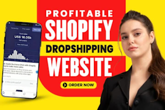 create a successful shopify dropshipping store shopify ecommerce website design