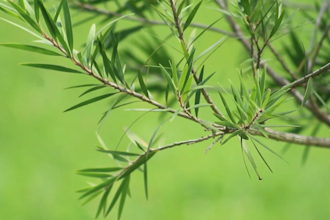 create relaxing meditation music video for you