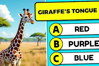 create quiz, trivia questions videos editing for youtube