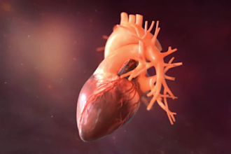 create 3d medical animation, anatomy, surgery explainer and patient education