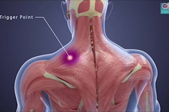 do 3d medical animation
