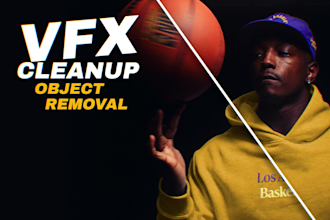 do vfx cleanup, remove object from video, and wire removal