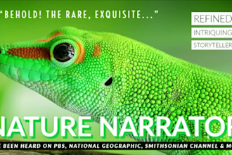 record a voiceover as a nature documentary narrator