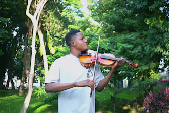 record a live violin cover of any song, violinist