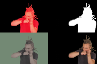 do professional rotoscoping, chroma key, and green screen removal