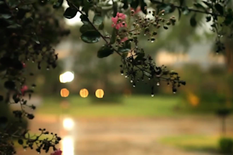 create rain and thunder video 4k and HD