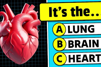 create trivia quiz videos for youtube