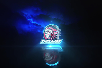 create custom 2d 3d animated logo animatan intro video