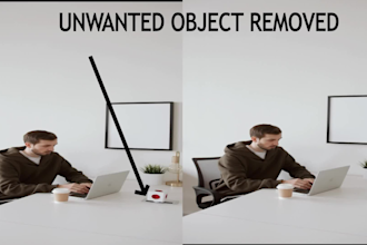 remove object from your videos