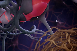 create 3d pharmaceutical moa and drug mechanism animation