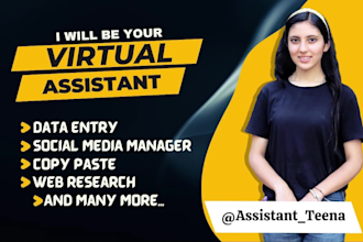 be your virtual assistant for web research, data entry