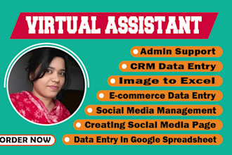 do virtual assistant, admin support real estate skiptracing, google map scraping