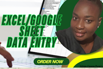 do data entry, add formulas, copy paste and convert pdfs to excel