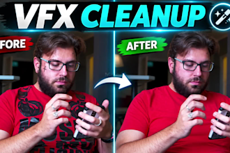 remove unwanted objects and people from your video