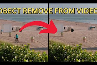 remove or add objects, wire, text, logo from video