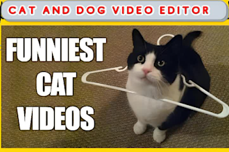edit or create funny viral ,cats,dogs, compilations videos for youtube,fb,tiktok