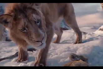 do photorealistic 3d animal animation, 3d animal model, 3d animal rigging, cgi