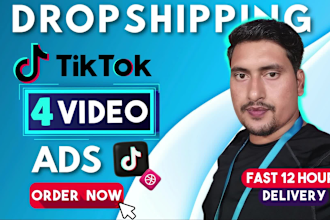 create 4 personalized tiktok video ads in 12 hours for dropshipping video ads