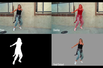 do complex vfx rotoscoping, detailed roto masking