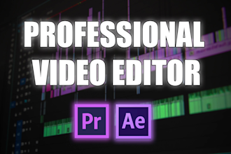 edit your vlogs, travel videos, documentaries professionally