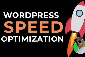 professional wordpress speed optimization for google pagespeed insights