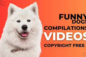 make funny dogs compilation videos for youtube and facebook