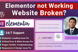 fix elementor bug, wordpress errors and woocommerce issues