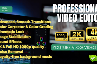 do professional video editing for youtube vlog, travel