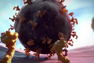 create 3d medical moa animation virology viral vector and cell mechanism video