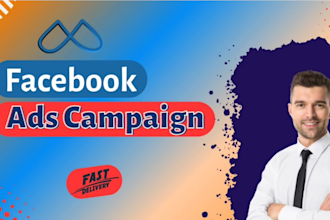 setup and manage facebook ads with laser target audience