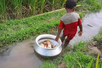 amazing village fishing video for your channel