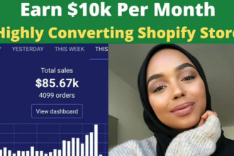 setup automated dropshipping shopify store website