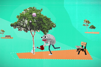 do collage explainer video vox style mixed media collage video collage animation