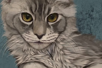 draw custom digital pet portrait from your photo