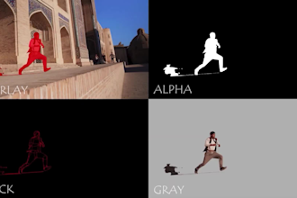 professional rotoscoping and background removal from your video