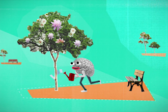 do collage animation motion graphic vox style collage video explainer video ads