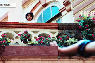 do best vfx compositing  and object removal for your videos