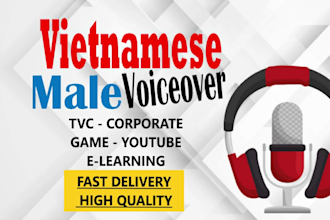 record vietnamese professional male voice over and dubbing