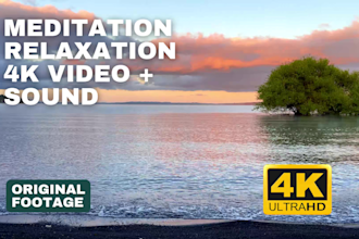 record 4k videos nature videos up to 8 hours