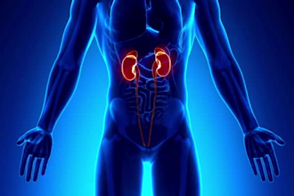 create 3d medical animation, surgery animation, medical animation anatomy video