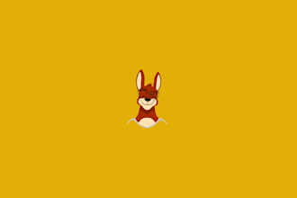 make custom explainer videos for you