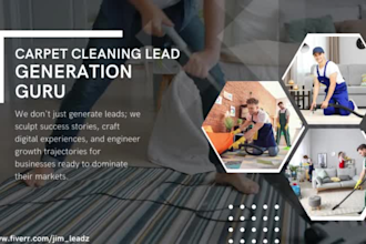 do carpet cleaning leads, carpet cleaning facebook ads, landing page and website