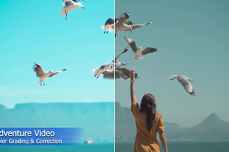 do cinematic video color grading and color correction