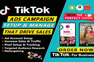 run tiktok ads, tik tok ads manager, tiktok marketing, organic tiktok promotion