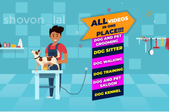 create dog sitting dog grooming service promo video for you